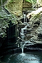 Watkins Glen Gorge NY